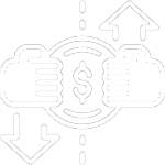Product Range and Customization